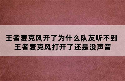 王者麦克风开了为什么队友听不到 王者麦克风打开了还是没声音